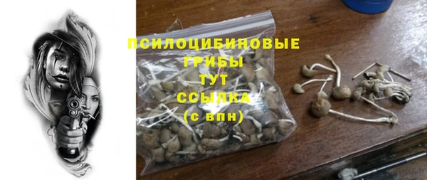 твердый Алзамай