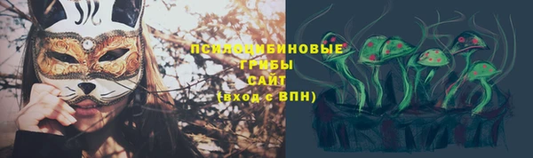 твердый Алзамай