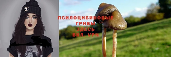 твердый Алзамай
