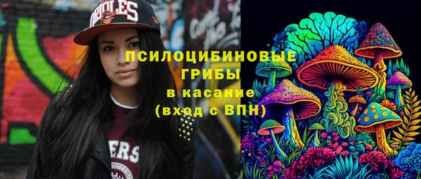твердый Алзамай