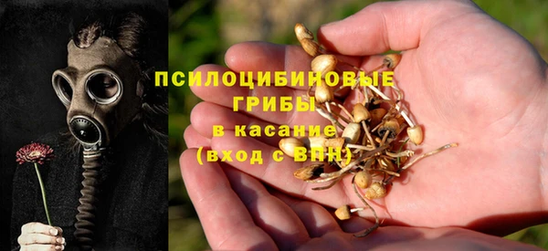 твердый Алзамай