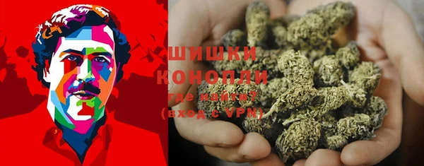 PSILOCYBIN Алексеевка