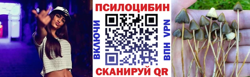 Галлюциногенные грибы Psilocybine cubensis  купить наркотики сайты  Ступино 